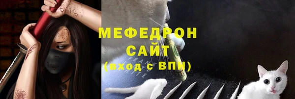 молекула духа Переславль-Залесский